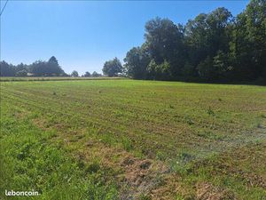 Terrain 2 400 m² Sarlande