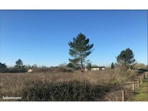 Terrain 1 538 m² Parcoul Chenaud