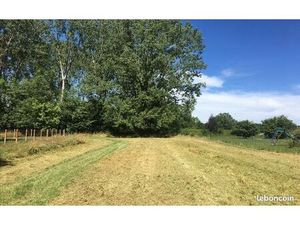 Terrain 66 723 m² Montpon Menesterol