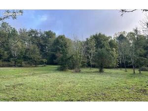 Terrain 10 710 m² Saint Jean D Ataux