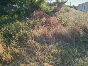 Cherche Terrain agricole