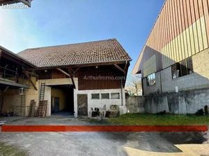 Grange 280 m² Orschwihr