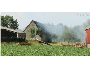 Maison avec grand terrain