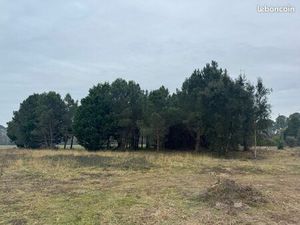 Terrain agricole de 8916m2 à proximité du bourg de Seignosse