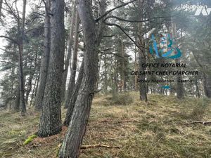 Terrain 10343 m² RIMEIZE