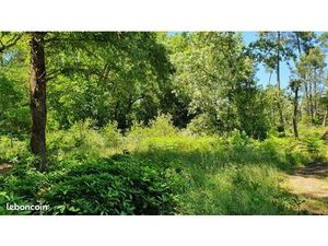 Terrain 769 m² Bouliac