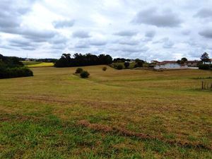 Terrain agricole +bois