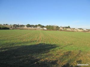 Terrain agricole 14500 m²
