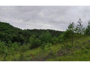 Terrain 1 511 m² Trelissac