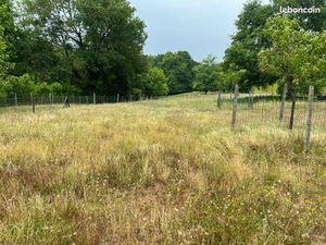 Terrain 1 243 m² Roquefort