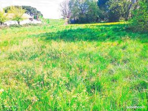 Terrain 500 m² Parentis En Born