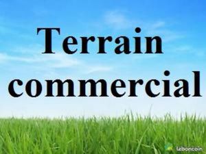Recherche terrain commercial a acheter
