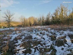 Terrain 2 391 m² Albas