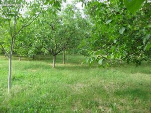 Terrain 5 957 m² Alvignac