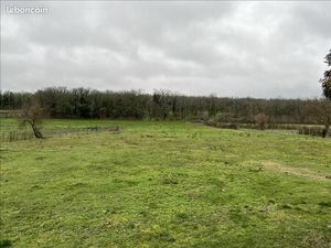 Terrain 4 155 m² Lalbenque