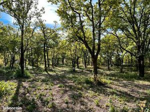 Terrain 1 069 m² Lalbenque