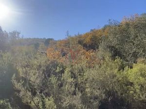 2 terrains agricles ( Castelnou / Camelas )