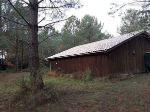 Grand bâtiment en bois en forêt