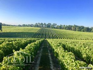 Terrain Castelnau D Auzan Labarrere