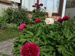 Location Cabinet Paramédical dans Centre pluridisciplinaire à Viry-Châtillon 91