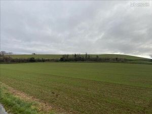 Terrain 14 000 m² Villefranche De Lauragais