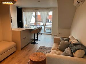 Appartement 2 pièces - Dingsheim