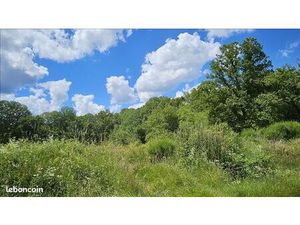 Forêt 15 293 m² Orcay