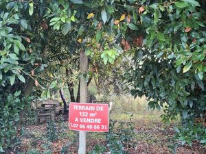 Terrain 132m2