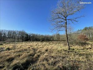 Terrain 11 041 m² La Ferte Imbault