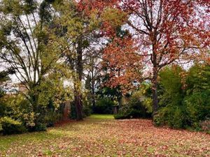 Terrain 424 m² Bordeaux