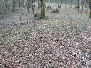 Terrain à batir arboré proche du centre historique