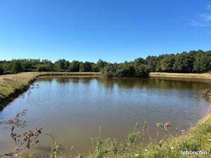 Terrain loisir clôturé 2ha +étang + forêt