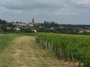 Terrain 404 m² Pissotte