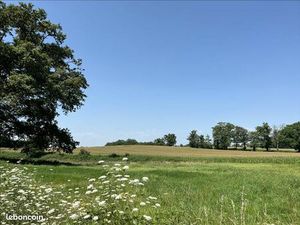 Terrain 1 377 m² Limoges