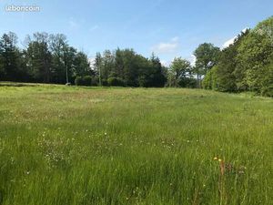 Terrain 5 880 m² Saint Laurent Sur Gorre