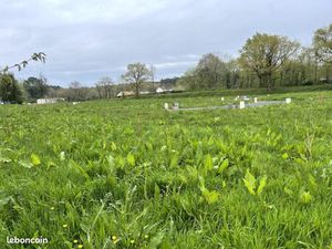 Terrain 506 m² Bourneau