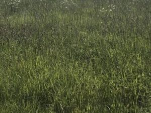 Terrain 770 m² Saint Cyr Des Gats