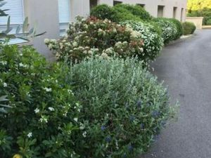 Studio résidence les Laureades boutonnet