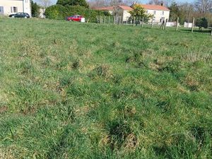 Terrain constructible