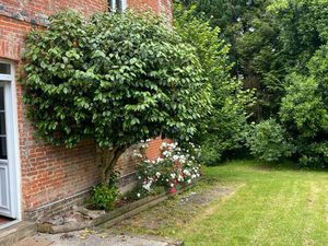 Maison à louer à Ménil Froger