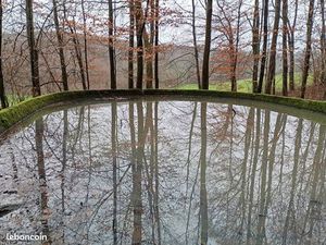 Location parcelle forestière 7 hectares