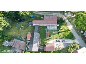 Maison avec pension canine féline et dog wash