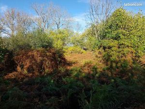 Terrain 1 040 m² Nebouzat