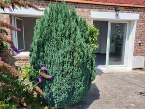 Location au pied du centre ville de Neufchâtel-en-Bray