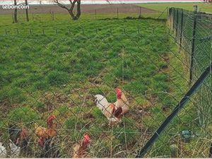 Longère de 6 pièces avec dépendances et étang