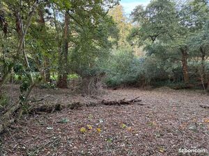 2 Terrains constructibles - 1133 & 1205m2