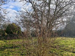 Terrain construcible 730 m2