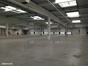 Local bureaux 4 662 m²