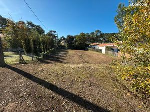 Terrain constructible