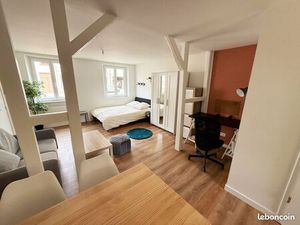 Superbe Studio entièrement rénové - 7 800 euros/an - Schiltigheim